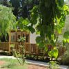Casa di legno immersa nel verde con alberi e piante rigogliose.