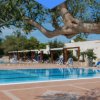 Piscina circondata da sedie a sdraio e un albero.