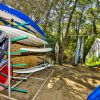 Tavole da surf e vele riposte vicino a alberi.