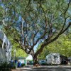 Camping Village Baia Azzurra (GR) Toscana