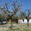 Camping Villaggio Il Frutteto (AP) Marche