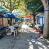 Liana Camping Village (AN) Marche