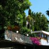 Struttura sopraelevata tra gli alberi con fiori.