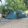 Tenda verde in un campeggio alberato.