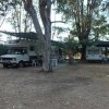 Camper parcheggiati all'ombra di grandi alberi.