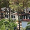Bungalow tra gli alberi verdi.