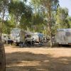 Camper parcheggiati su terreno boscoso con biciclette.