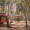Campeggio con tenda arancione tra gli alberi.