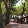 Villaggio Camping Costa D'argento (CH) Abruzzo