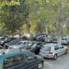 Parcheggio sotto alberi, auto parcheggiate.