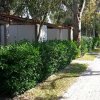 Villaggio Camping Mimosa (VV) Calabria