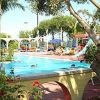 Una piscina circondata da alberi e fiori con persone che nuotano e prendono il sole.