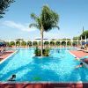 Piscina all'aperto con una palma centrale e scivolo, circondata da lettini e persone che nuotano.