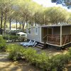 Casa mobile con veranda e sdraio circondata da alberi.