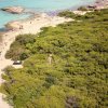 Spiaggia sabbiosa con mare turchese e vegetazione fitta.