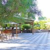 Bar all'aperto con tavoli sotto alberi e ombrelloni.