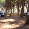 Camper in una pineta.