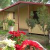 Bungalow giallo con piante e fiori colorati davanti.