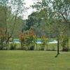 Un giardino con prato e alberi, vista su una piscina e cespugli.