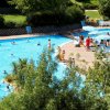 Piscina piena di persone circondata da alberi.
