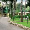 Un sentiero circondato da alberi e prati verdi con luci da giardino.
