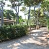 Villaggio Camping Pineta Al Mare (BR) Puglia