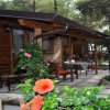 Chalet di legno con fiori e sedie nel patio.