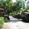 Viale alberato con bungalow laterali.