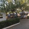 Camper parcheggiati tra gli alberi in un'area di sosta ombreggiata.