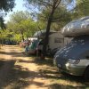 Strada sterrata con camper e bici parcheggiati sotto gli alberi.