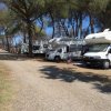 Camper parcheggiati lungo una strada sterrata in un campeggio alberato.