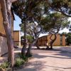 Edificio giallo con finestre grandi, circondato da alberi alti su un piazzale asfaltato.