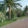 Una passeggiata con palme e cespugli fioriti, costeggiata da una strada e una panchina.