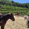 Bambini a cavallo in un campo recintato con colline verdi sullo sfondo.