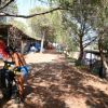Piazzola campeggio ombreggiata da pini, persona vicino a una bicicletta.