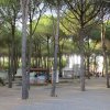 Area campeggio con pini e tende tra gli alberi.