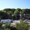 Ingresso del campeggio circondato da alberi e auto.