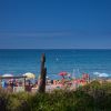 Spiaggia affollata con ombrelloni colorati e mare calmo; vegetazione in primo piano.