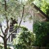 Casa rosa con albero e rampicante in giardino.