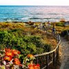Sentiero verso la spiaggia attraverso dune e vegetazione.