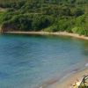 Spiaggia deserta con mare calmo, vegetazione verde e staccionata lungo la riva.