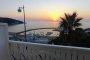 Vista sul mare al tramonto con palma.