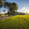 AmareGold Tenuta La Baronessa (LE) Puglia
