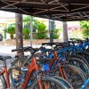 Biciclette parcheggiate sotto una tettoia vicino a piante ornamentali.