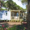 Casa mobile blu con veranda in un ambiente boschivo.